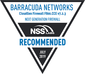 Barracuda Networks: подключение Multi-Link Virtual WAN Softline